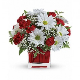 Red And White Delight by Teleflora